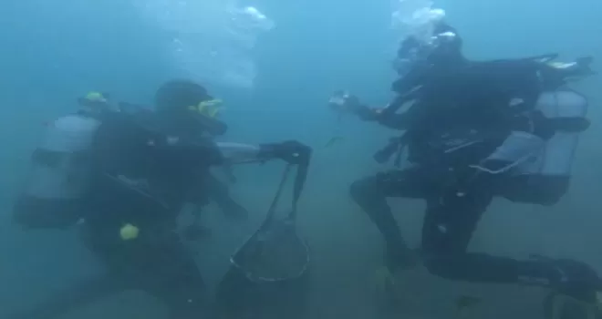 Kaçak avlanılan 2 ton midye çuvallar içinde denize saklandı
