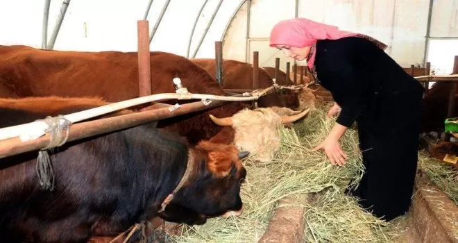 Kadınlar daha girişimci
