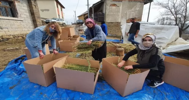 Kadınlar üretti, kadınlar ihraç etti
