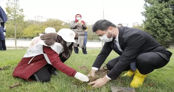 Kağıthane’de her köşebaşına ağaç

