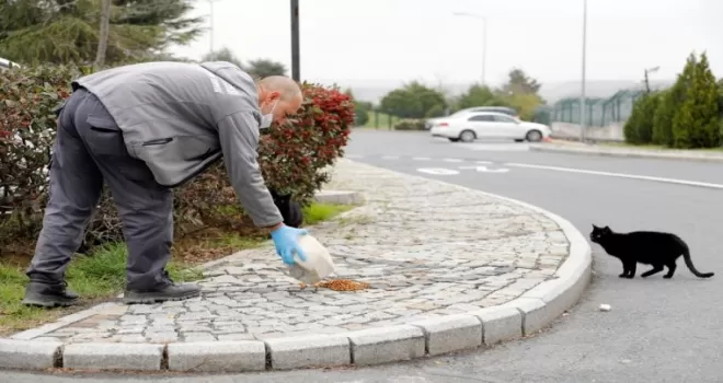 Kağıthane’de sokak hayvanları için yeni proje
