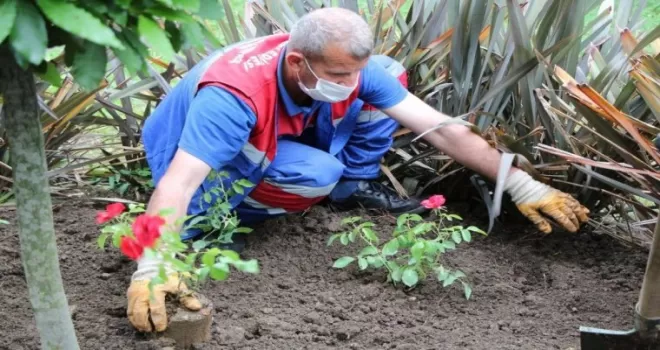 Kağıthane’de yüz binlerce çiçek toprakla buluştu

