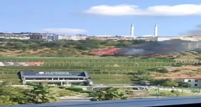 Kağıthane’deki yeşil alan yangını kameraya yansıdı
