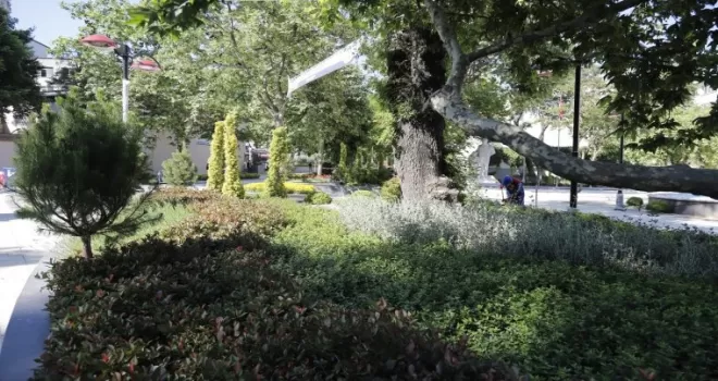 Kağıthane’ye 24 bin metrekarelik botanik meydan

