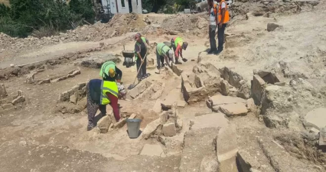 Kapatılan maden sahalarına 22 bin 100 zeytin ağacı dikildi
