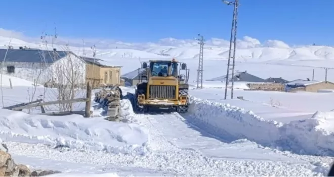 Kar Van’ı esir aldı