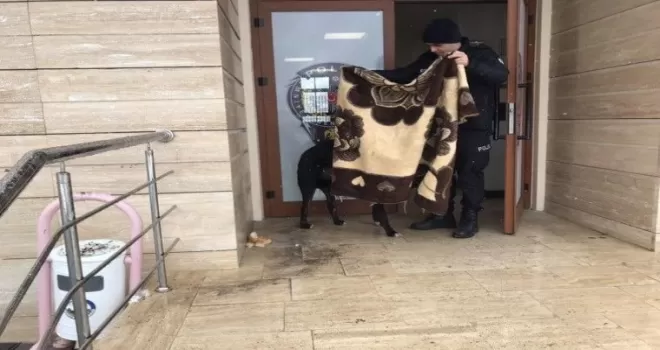 Kar yağışında üşüyen köpeğin üzerine polis battaniye örttü
