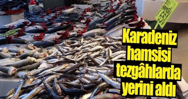 Karadeniz hamsisi Trabzon’da tezgahlardaki yerini aldı