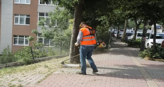 Karadolap Mahallesi’nde yaz kampanyası çalışmaları
