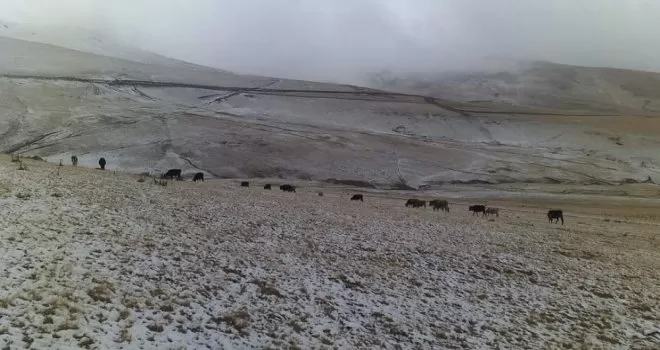 Karagöl Dağı’na mevsimin ilk karı yağdı
