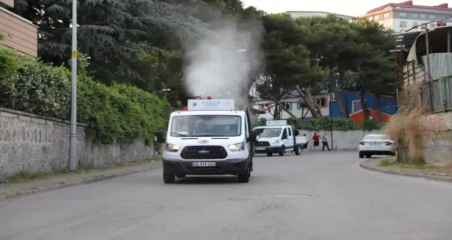 Kartal’da uçkun ve sivrisinekle mücadelede ilaçlama çalışmaları başladı
