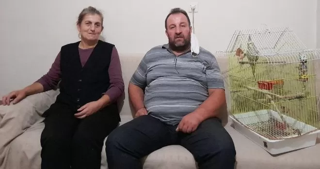 Kayıp papağanını getirene bin lira ödül verecek

