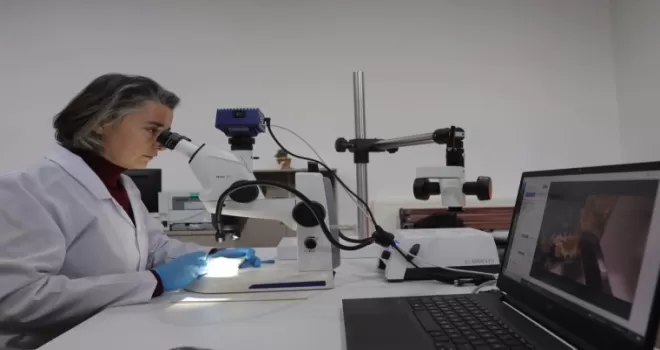Kayseri Büyükşehir konservasyon laboratuarı kurdu