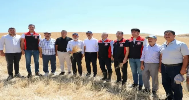 Kayseri Kocasinan’da tarım buluşması hasatla açıldı