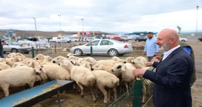 Kayseri Kocasinan’dan Türkiye’ye örnek ’kurban’ ihalesi