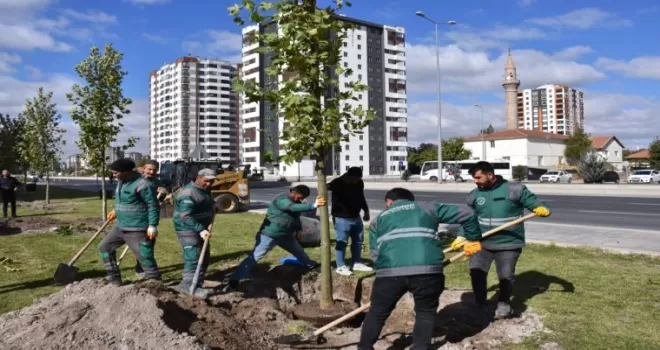 Kayseri Kocasinan şehri oksijen deposuna çevirdi