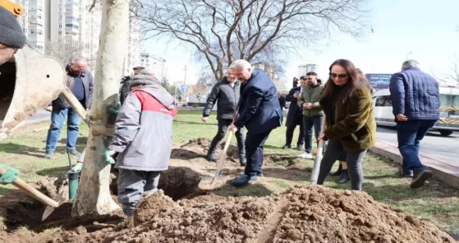 Kayseri Melikgazi’de bahar fidan dikimiyle geldi
