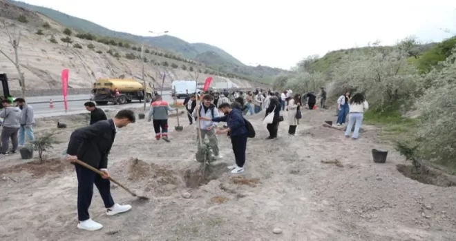 Kayseri Melikgazi’nin yeşil dokusu güçleniyor