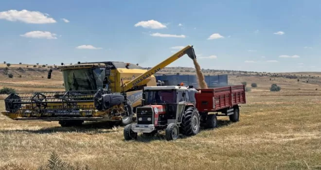 Kayseri Talas’ta can dostlara yem desteği