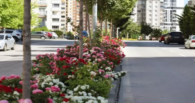 Kayseri Talas’ta çiçek yılında sahne güllerin