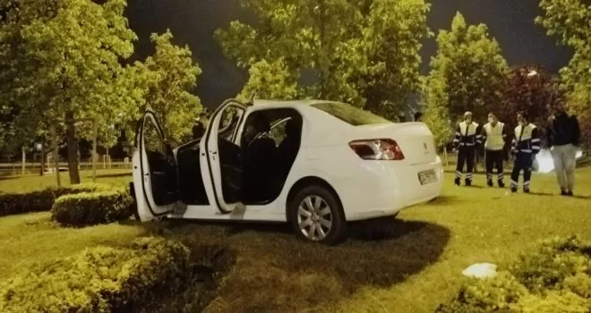 Kazada köpeği kaybolan kadın ortalığı birbirine kattı
