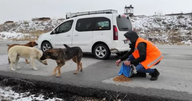Keçiören’de can dostlar aç bırakılmadı
