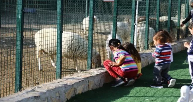 Keçiören’de doğal yaşama ailelerin ilgisi yoğun
