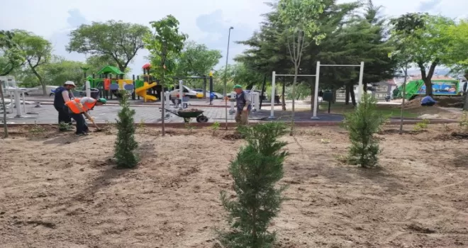 Keçiören’deki parklarda yeşil alan uygulaması
