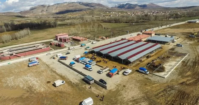 Kelkit hayvan pazarı kapatıldı
