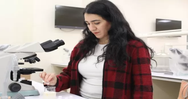 Kemik doku zedelenmelerinde yeni nesil tedavi yöntemi
