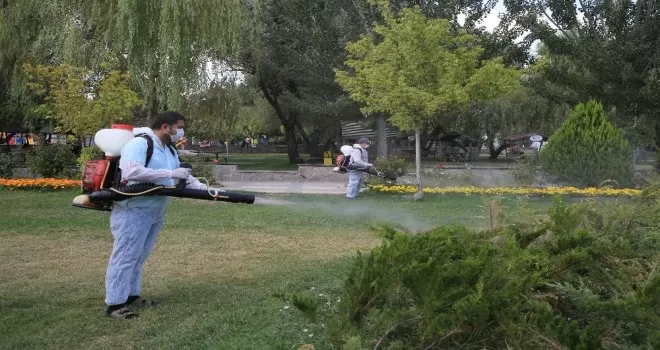 Kene ve haşerelere karşı güvenlik önlemi alındı
