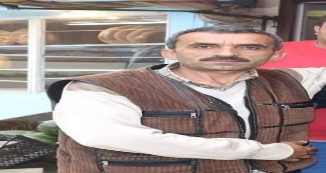Kesilen ağacın altında kalan bir kişi hayatını kaybetti
