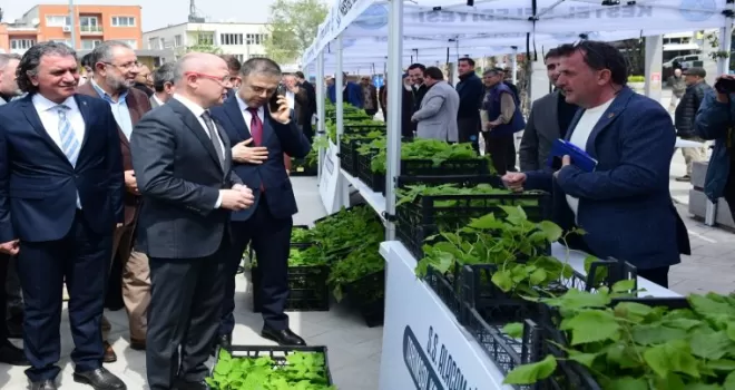 Kestel’de çiftçiye Ahududu desteği