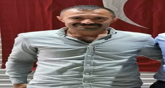 Kestiği ağaç üzerine devrilen şahıs ağır yaralandı
