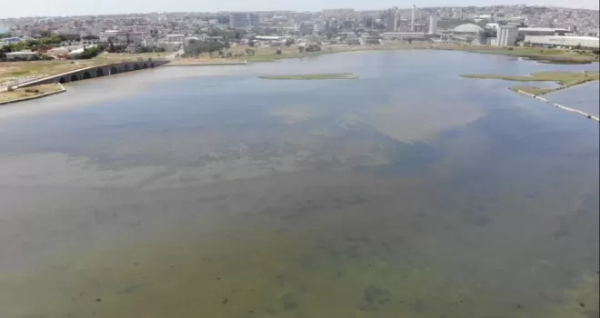 Kirlilik nedeniyle Büyükçekmece Gölü’nün rengi değişti

