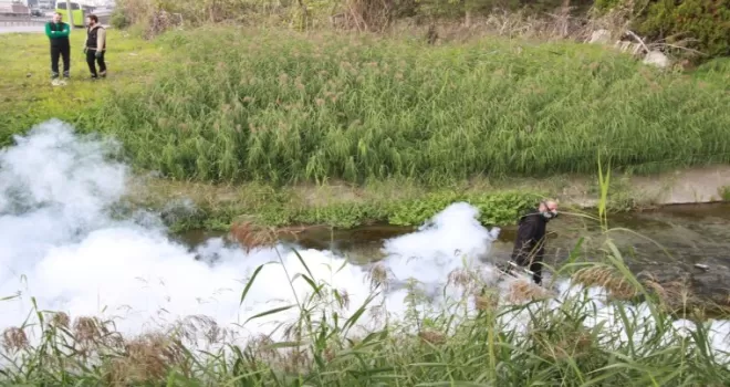 Kocaeli’de sinekle mücadele dört mevsim hız kesmiyor
