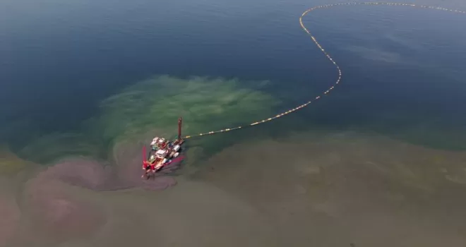 Kocaeli’nin çevre projesi deniz canlılarını canlandırdı