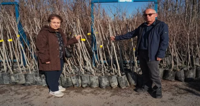 Kocaeli’nin fidan desteği meyvelerini veriyor
