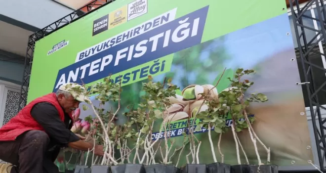 Konya’da antep fıstığı yaygınlaşıyor