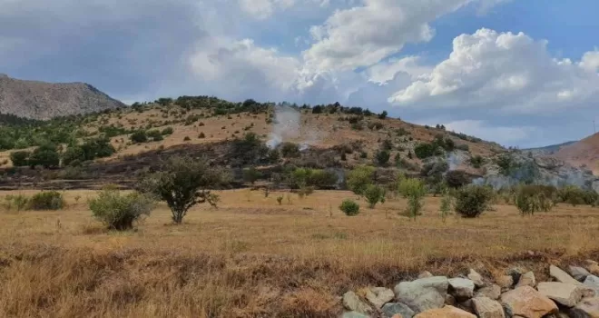 Kopan elektrik teli yangına neden oldu
