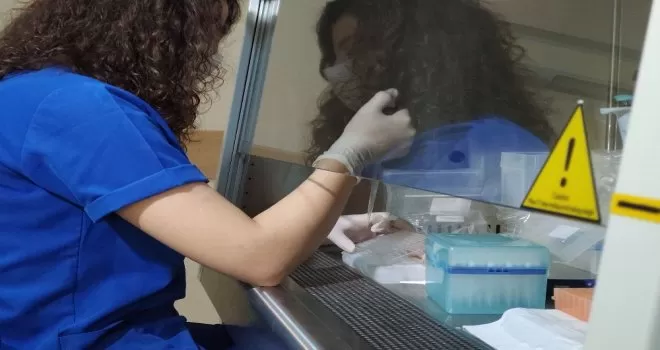 Korona virüse yapay zekalı analiz yöntemi
