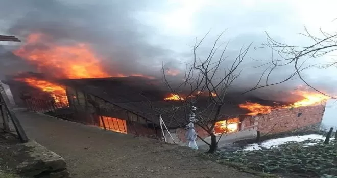 Köy evinde çıkan yangın korkuttu