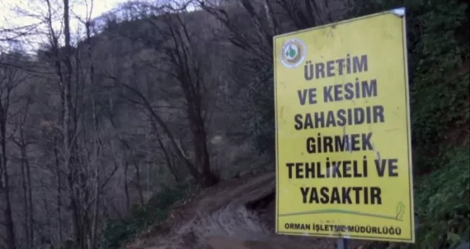 Köylü ormanına sahip çıktı, usulsüz kesim durduruldu
