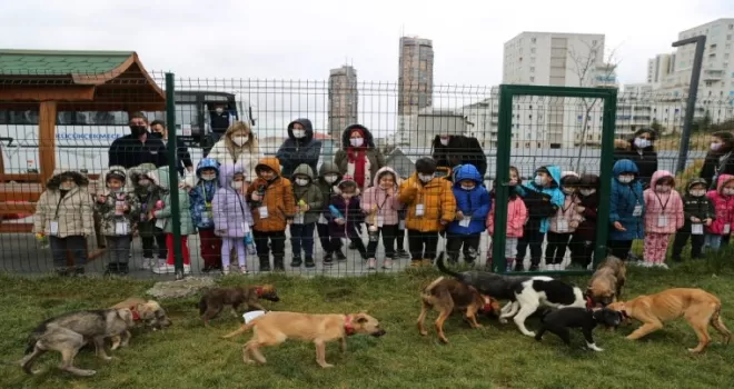 Küçükçekmece’de can dostlar için gelen 65 bin talep değerlendirildi
