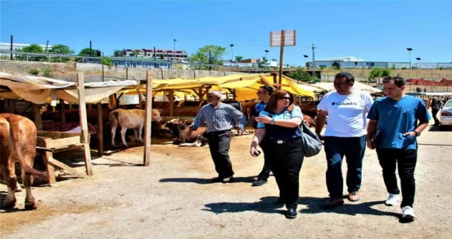 Kurban pazarlarında sıkı denetim
