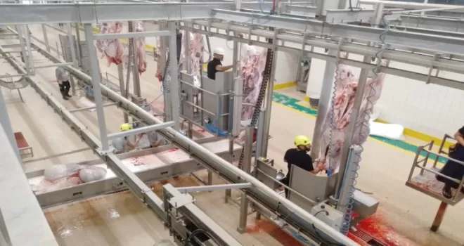 Kurbanlar Kocaeli’nin modern mezbahasında kesiliyor