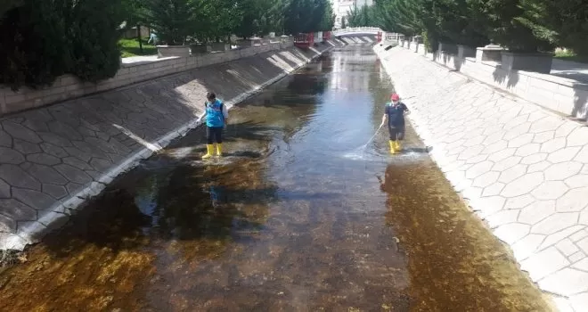 Larva mücadelesi yusufçuklara zarar vermeden yapılıyor
