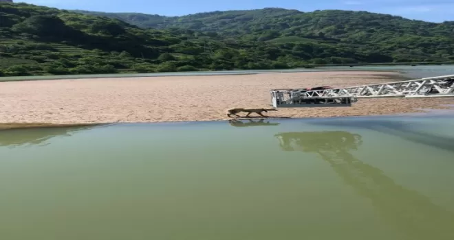 Mahsur kalan köpeğin imdadına itfaiye ekipleri yetişti
