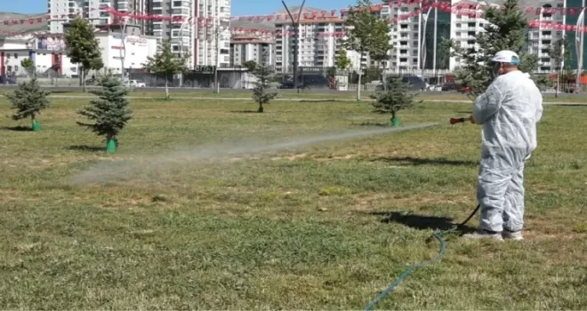 Malatya’da vektörel mücadele sürüyor
