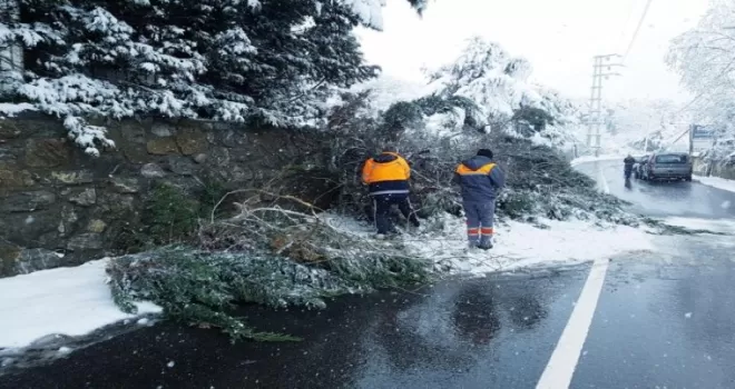 Maltepe’de 250 kişilik ekiple kar seferberliği
